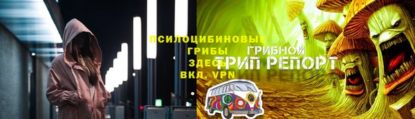 стаф Бородино