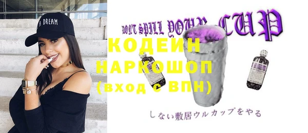 стаф Бородино