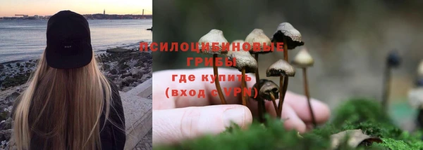 стаф Бородино
