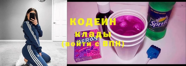 стаф Бородино