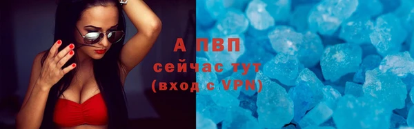 стаф Бородино