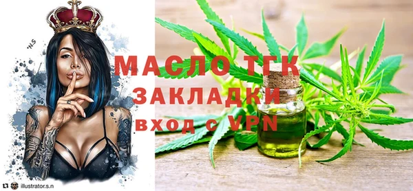 стаф Бородино