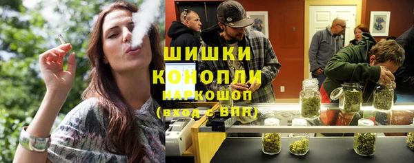 стаф Бородино