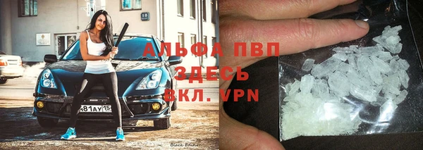 стаф Бородино