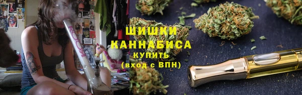 тгк Бронницы